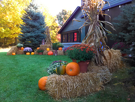 Landscape Design Services - Seasonal Services